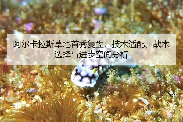 阿尔卡拉斯草地首秀复盘：技术适配、战术选择与进步空间分析