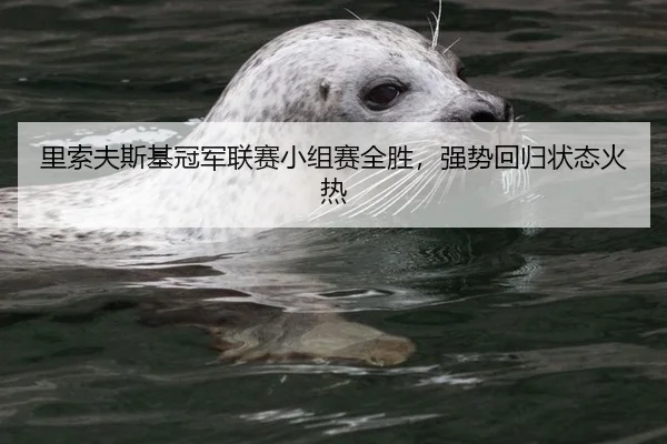 里索夫斯基冠军联赛小组赛全胜，强势回归状态火热