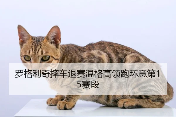 luo-ge-li-qi-shuai-che-tui-sai-wen-ge-gao-ling-pao-huan-yi-di-sai-duan-2-403.jpg